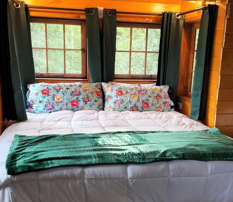 The Eagle'S Nest Treehouse Cabin Palmer Esterno foto
